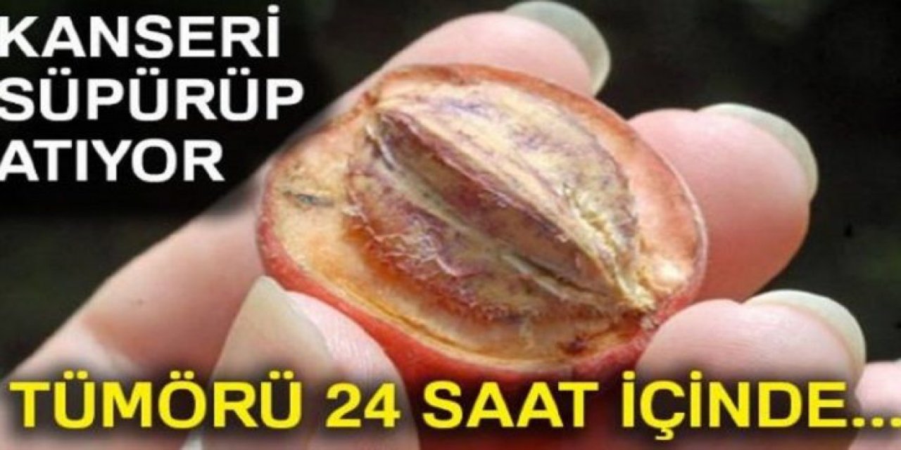 Araştırmayla Kanıtlandı Kanserli Tümörü 24 saat içinde ETKİSİZ hale getiriyor
