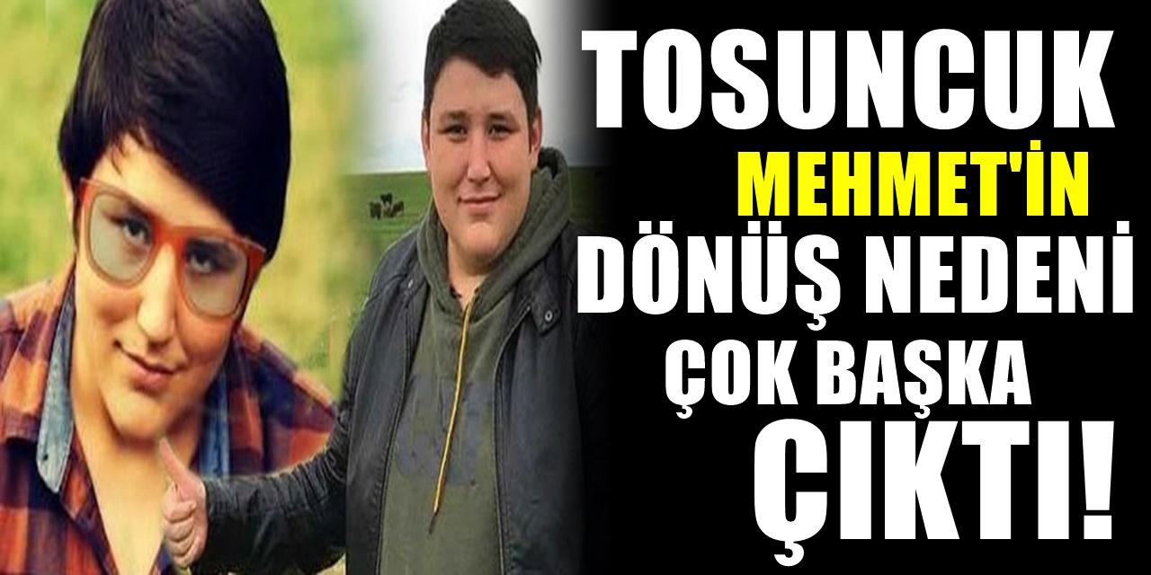 Aylardır Firari Olan Tosuncuk Mehmet Aydın Türkiye'ye geri neden döndü belli oldu herkes şaşkın
