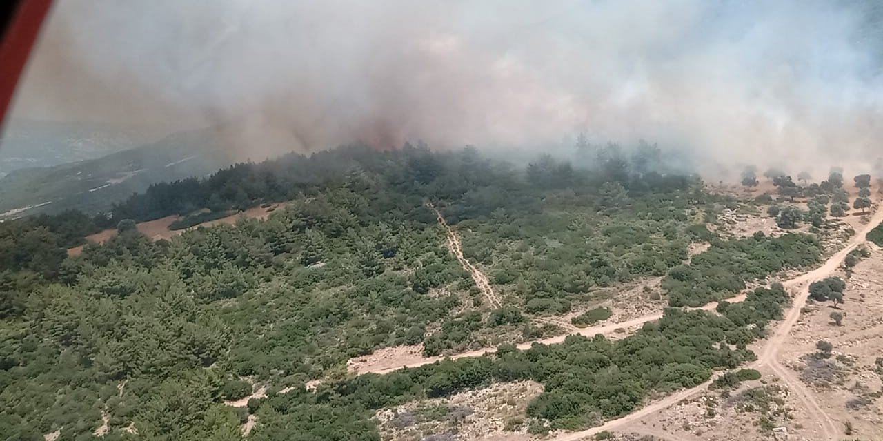 İzmir’de Orman Yangını Çıktı! Olay Yerinden İlk Bilgiler Geldi