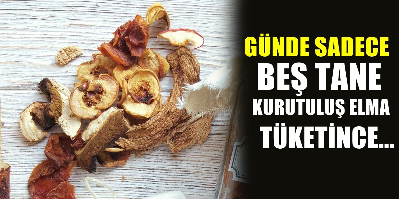 5 Adet Kuru Elma Yediğinizde Vücuttaki Etkisi Şaşırtıyor