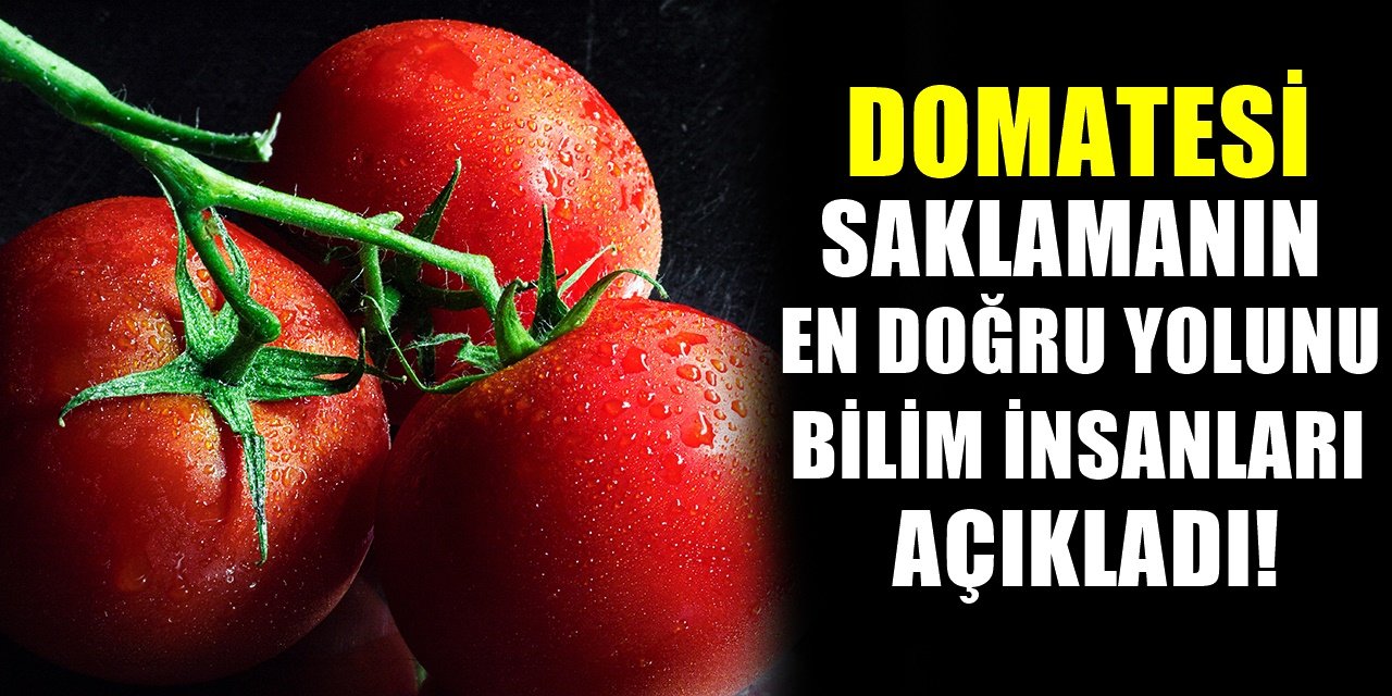 Domates nasıl saklanmalı? Bilim İnsanları doğru yöntemi açıkladı