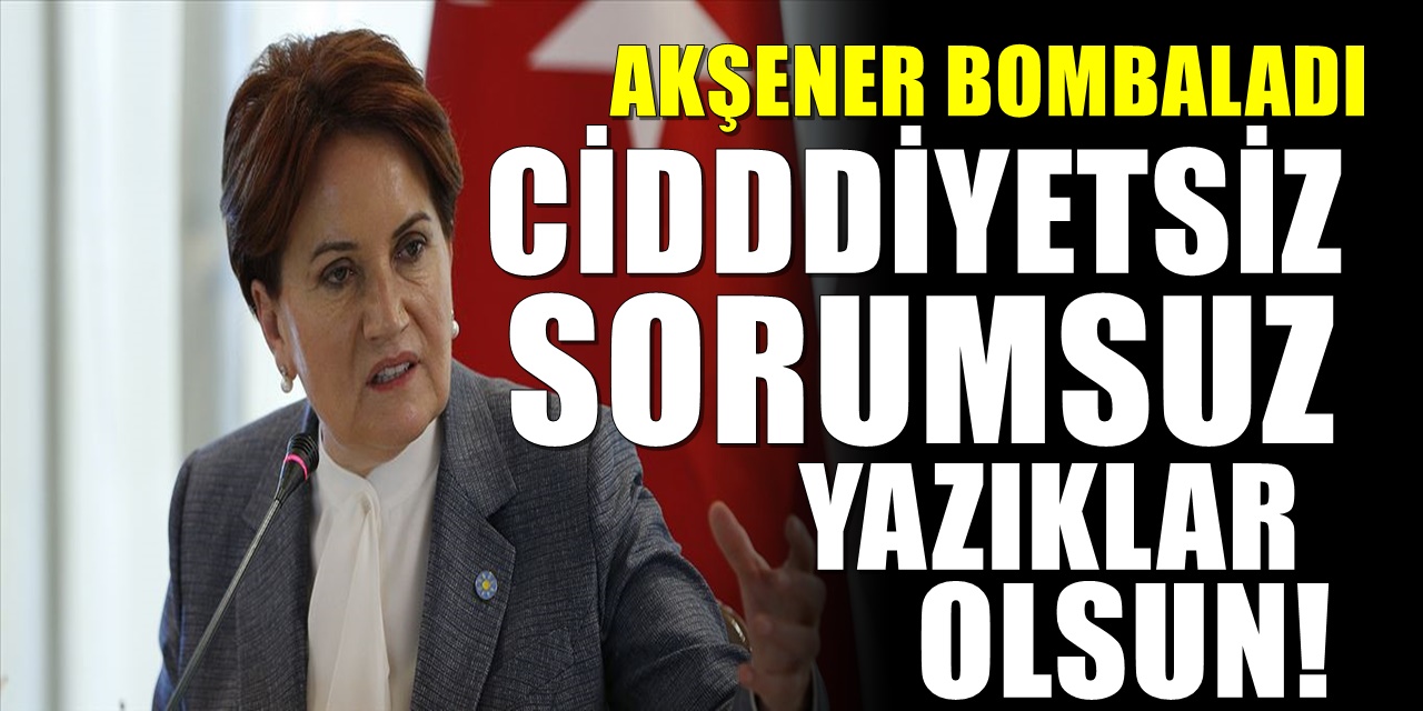 Meral Akşener'den Tarım Bakanı Bekir Pakdemirli'yi kızdıracak 'orman yangınları' tepkisi