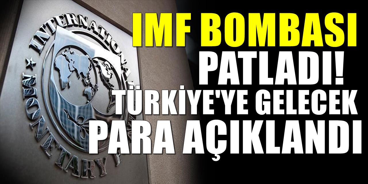 IMF'den şaşırtan dolar hamlesi! Listede Türkiye de yer alıyor