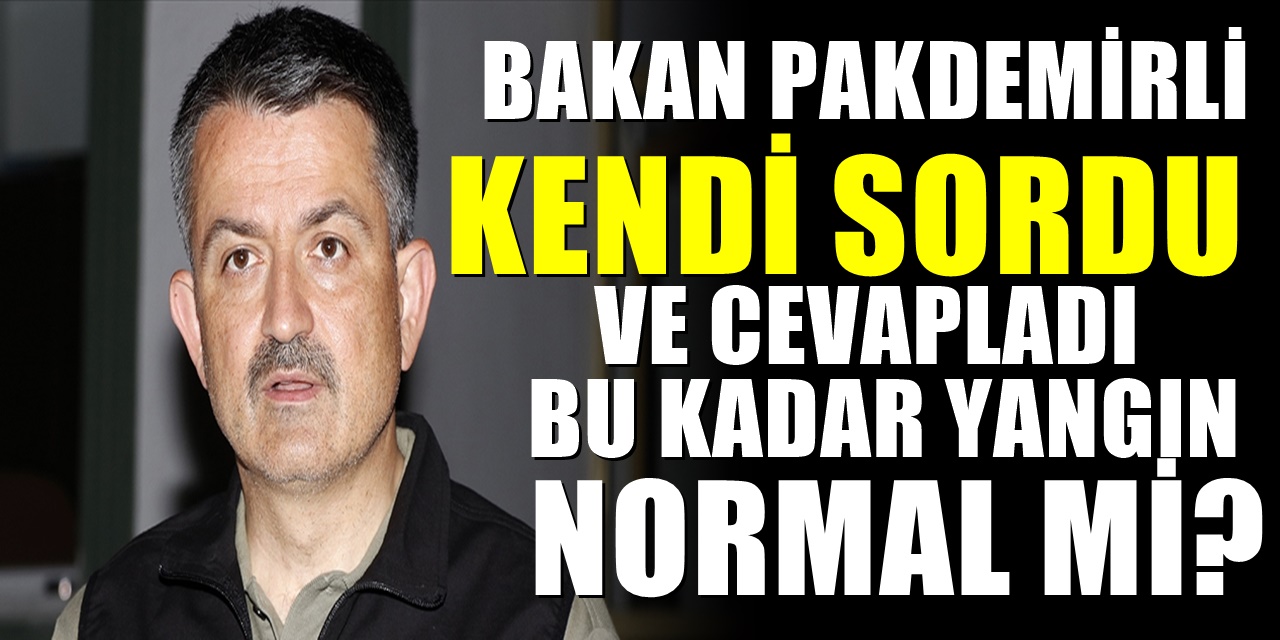 Tarım ve Orman Bakanı Pakdemirli sordu: Bu kadar yangın normal mi?