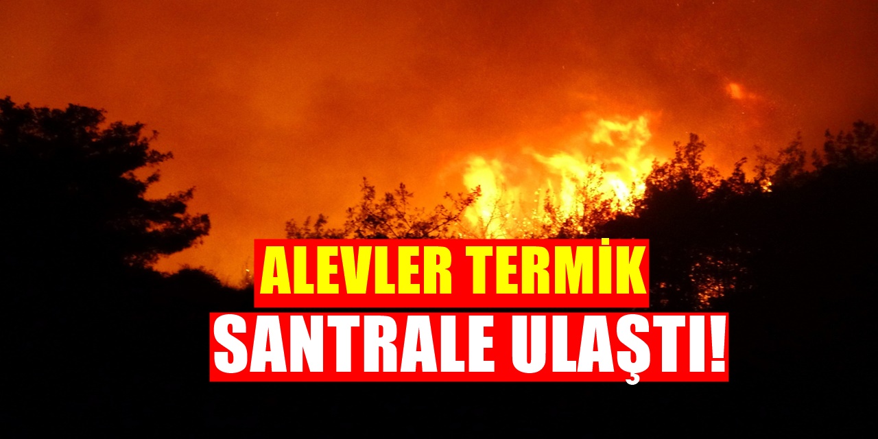 Korkulan Oldu Alevler Termik Santrale Kadar Ulaştı