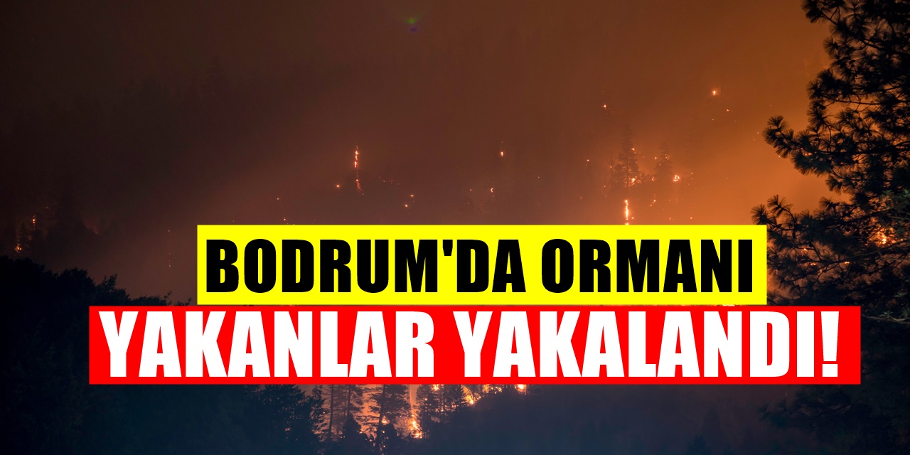 Bodrum’daki yangınla ilgili üç kişiye tutuklama! Araçtan İzmarit atmışlar