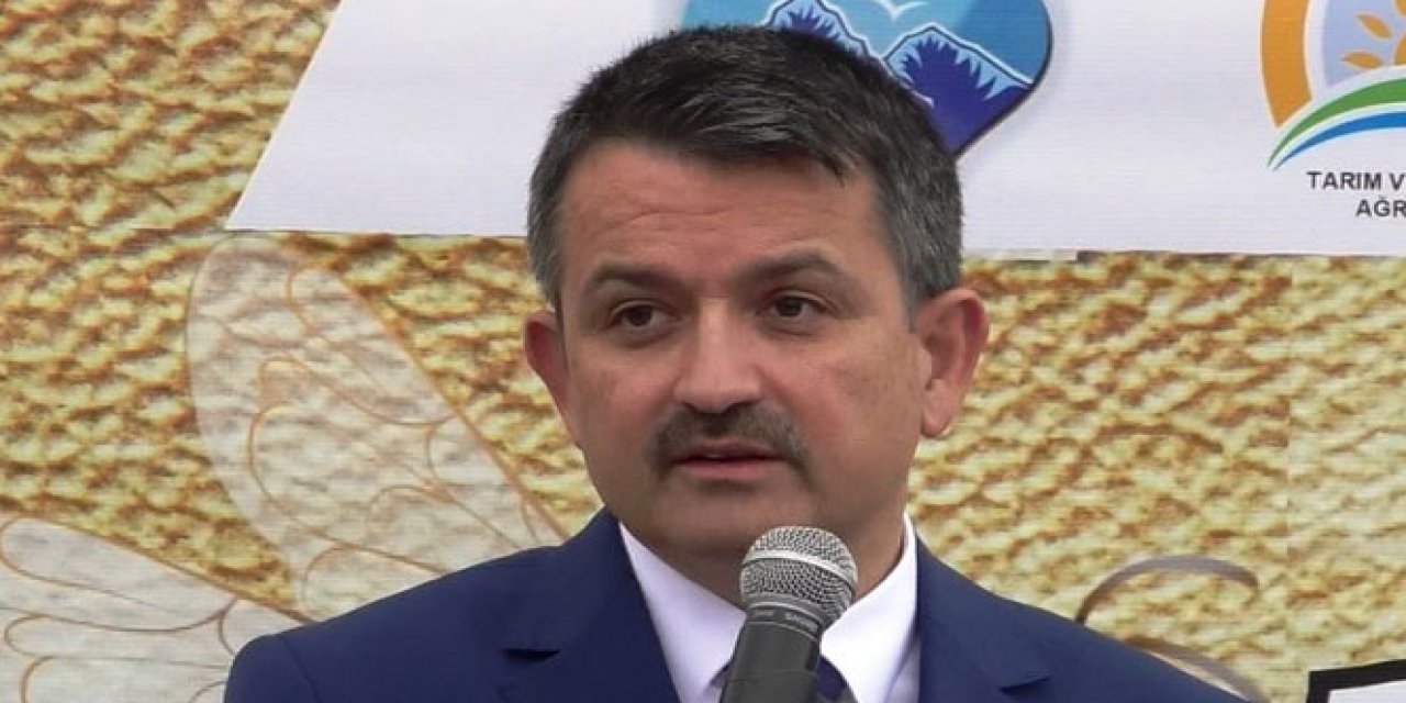 Pakdemirli Türkiye'de devam eden orman yangını sayısını açıkladı