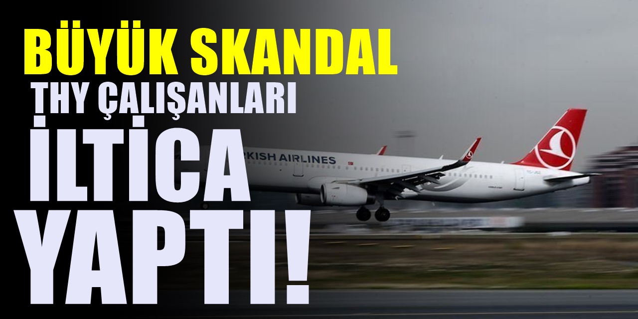 THY çalışanlarının Kanada'ya iltica etmesinin sırrı deşifre edildi! Şaşkına çeviren gerçek