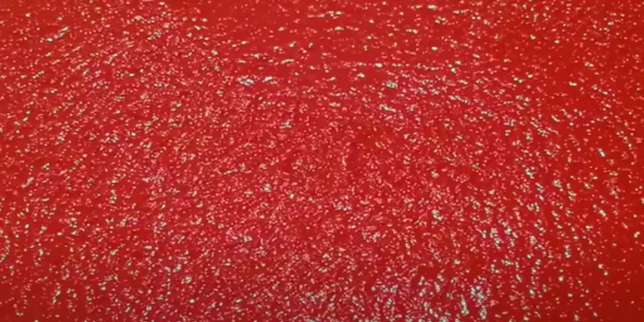 Sağlıklı Domates Salçasının Püf Noktaları Sakın Görmezden Gelmeyin
