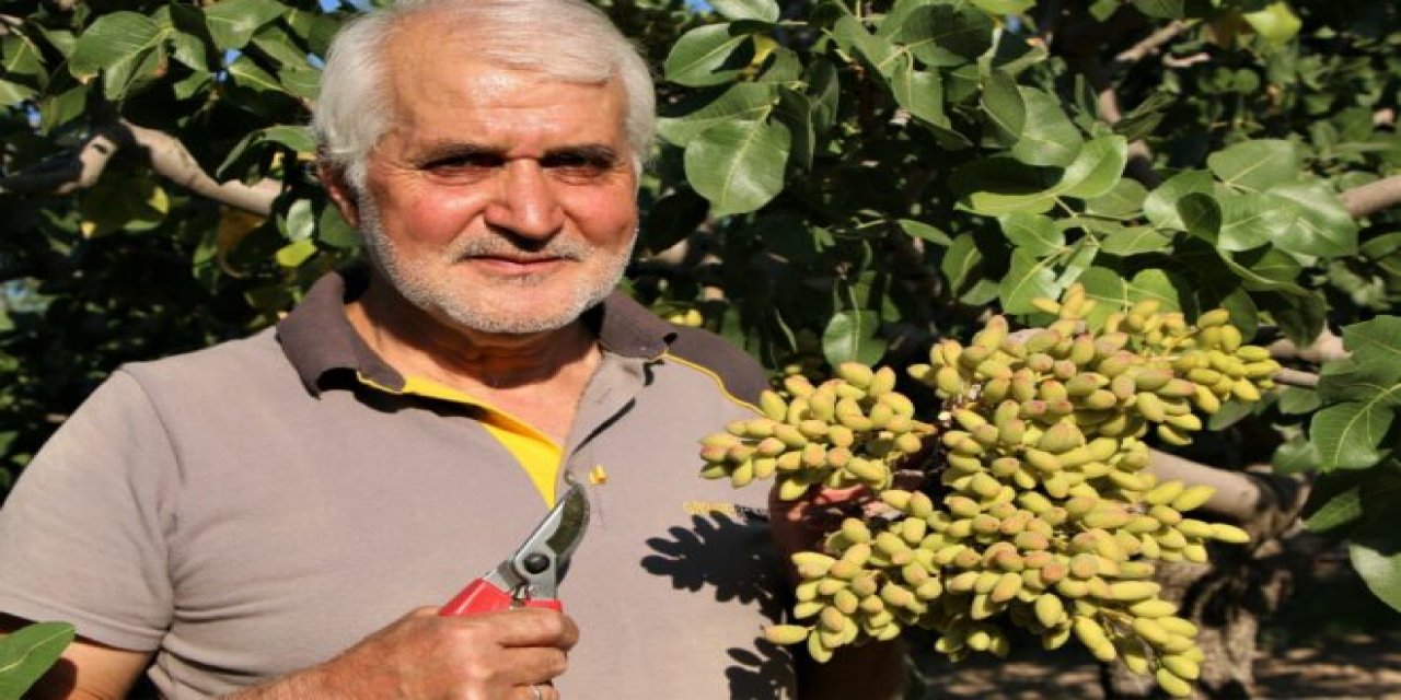 Hobi Olarak Dikmişti Şimdi Kazandığı Paraya Yakınları Bile Şaşırıyor