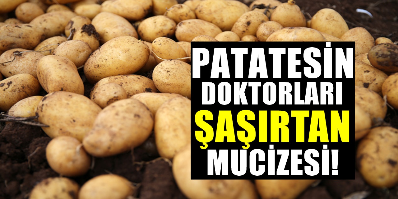 1 yıl boyunca sadece patates yiyen adamın yaptırdığı kan testi şaşkına çevirdi