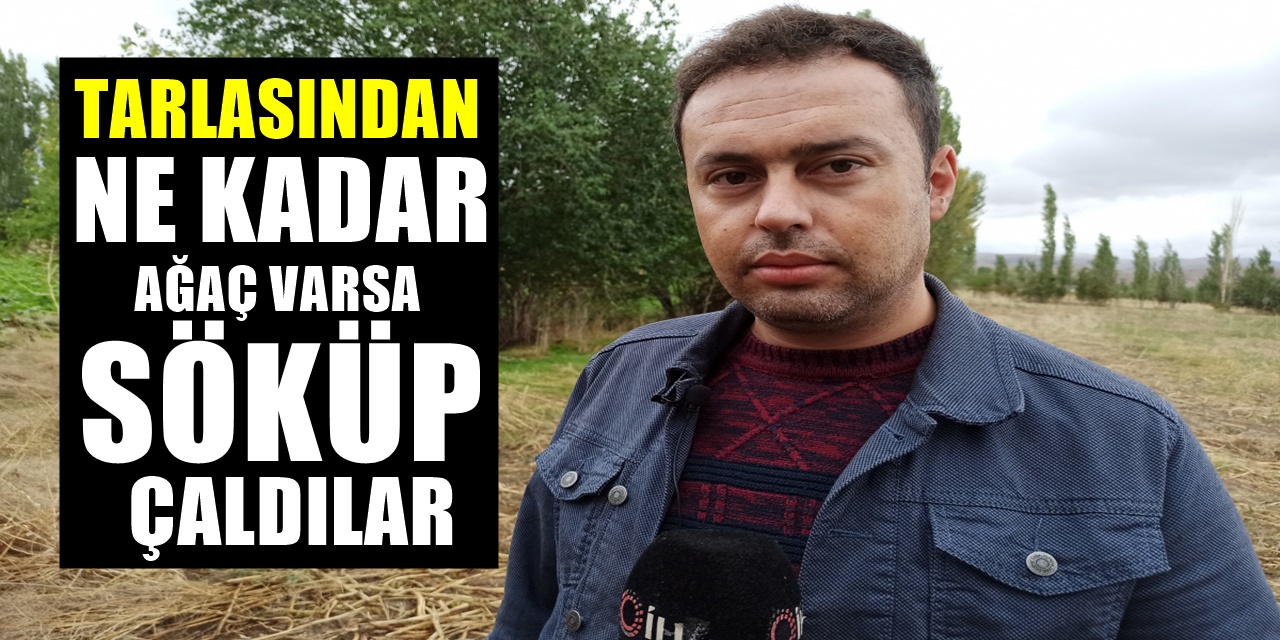 Afyon'da Genç Çiftçi Sabah Tarlasına Gitti! Kabusu yaşadı! Hırsızlar Koca Koca Ağaçları Söküp Götürmüş