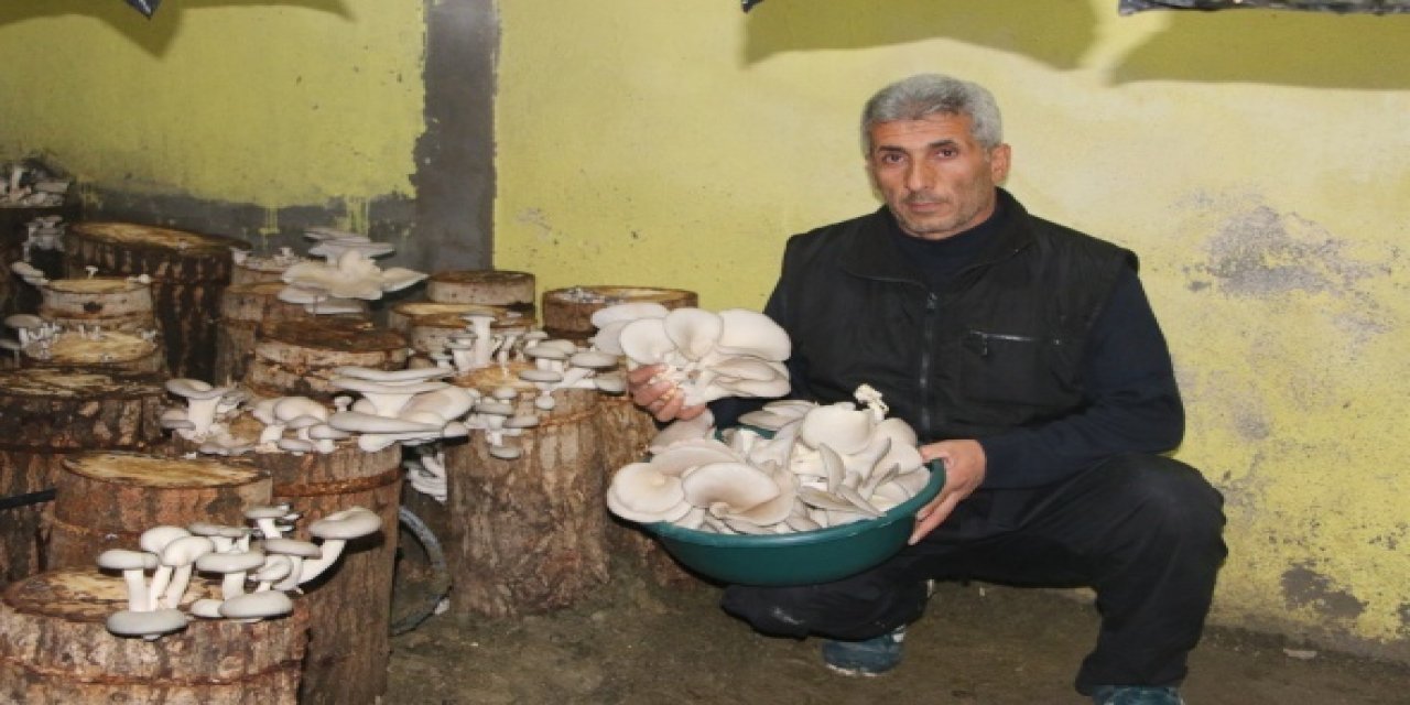 Hobisiydi inandı ve tek sermayesi bir kütük birde torbaydı, şimdi paraya para demiyor
