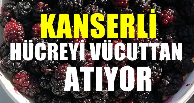 Türkiye'de Az Yerde Yetişiyor Fiyatı Cep Yakıyor Ancak kanser ve tümör hücrelerini uzaklaştırıyor