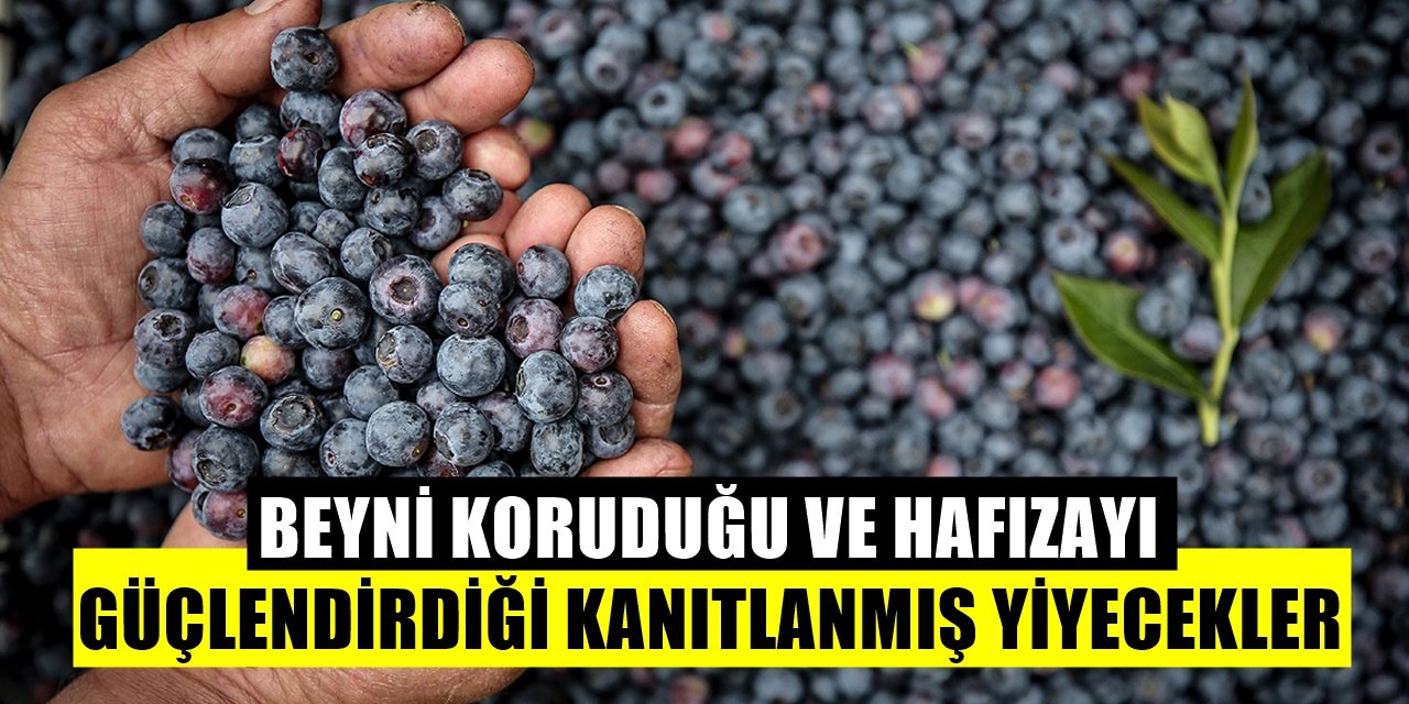 Tüketildiğinde Beyne İyi Gelen ve Hafızayı Güçlendiren Besinler!
