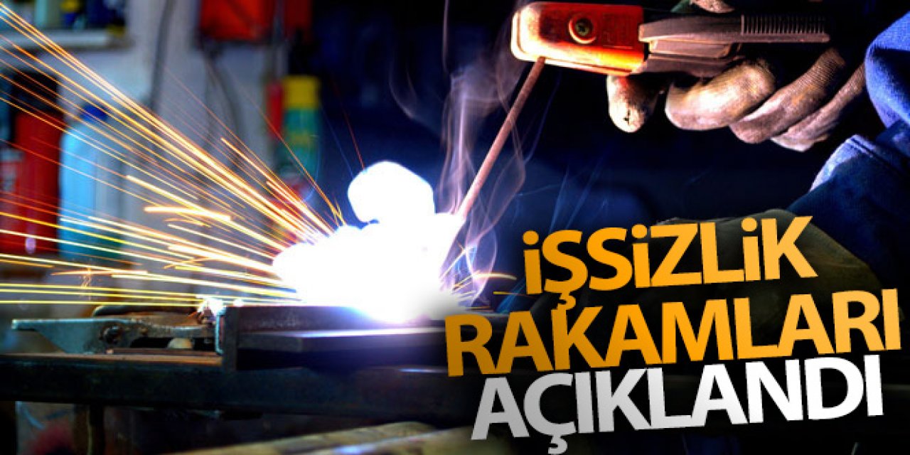 TÜİK tarafından 2021 Kasım Ayı İşsizlik Rakamları Açıklandı