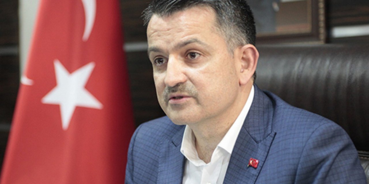 Bakan Pakdemirli Duyurdu! Destek ödemeleri banka hesaplarına yatmaya başladı