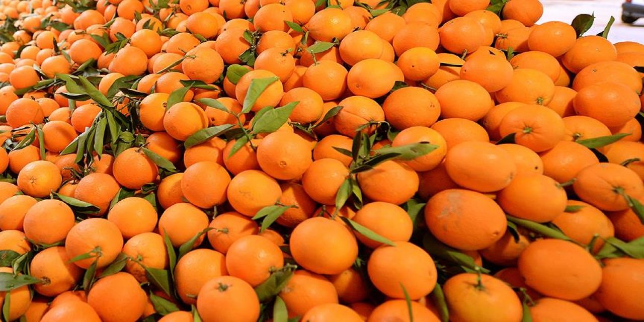 Portakaldan Bile 4 kat fazla C vitamini var ve 1 tanesini yemek karaciğeri temizliyor