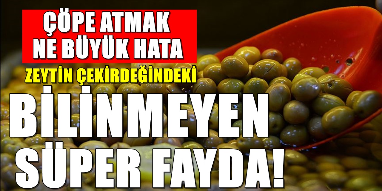 Kainatın meğer en faydalısıymış! Zeytin çekirdeğini atmayın