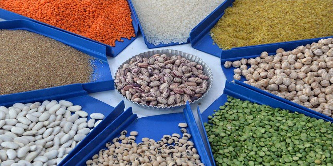 Uzmanlar öneriyor Beyni güçlendirip hafızayı çelik gibi koruyan 3 besin