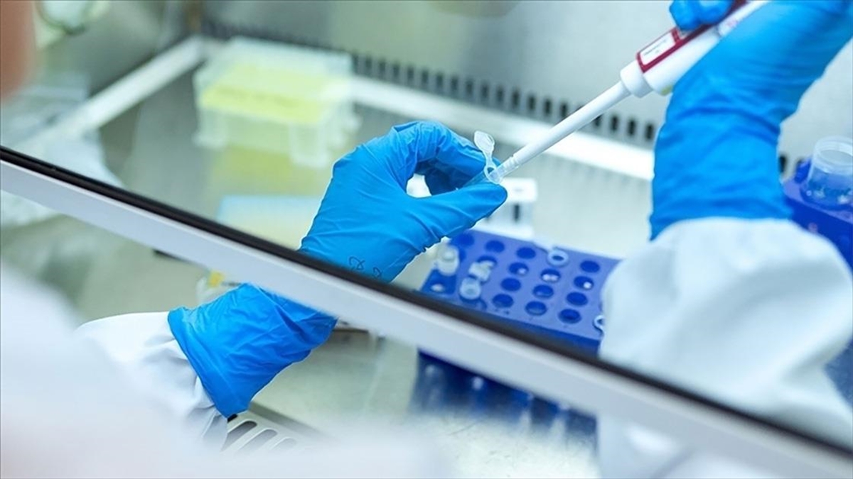 'gizemli Hepatit' Vakalarının Salgına Dönüşmesi Endişesine Bilim İnsanları Yanıt Verdi