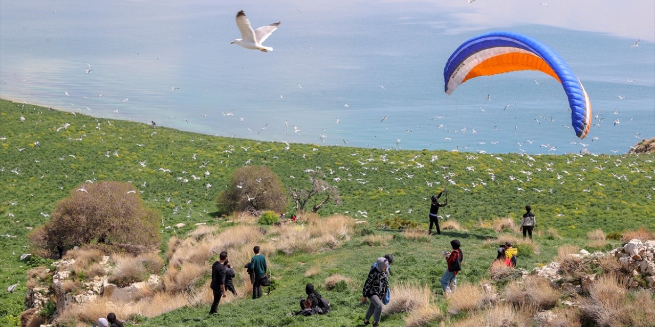 Van Gölü Çarpanak Adası'na Turist Akını