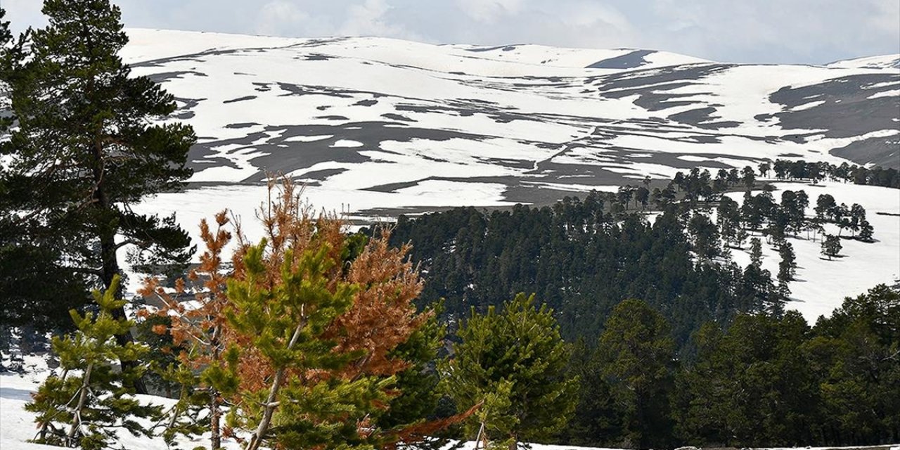 Sarıkamış Destansı Manzarasıyla Büyüledi