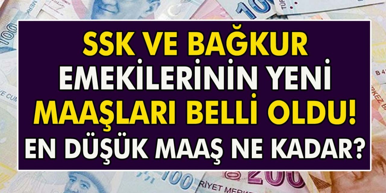 Emekli ve Memurun Temmuz Zammı Ne Kadar Olacak? Enflasyon Tahminlerine göre oranlar