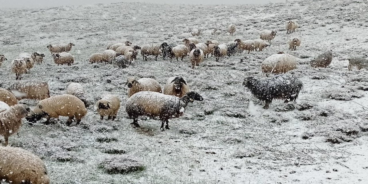 Hakkari, Mayıs Ayında Beyaza Büründü