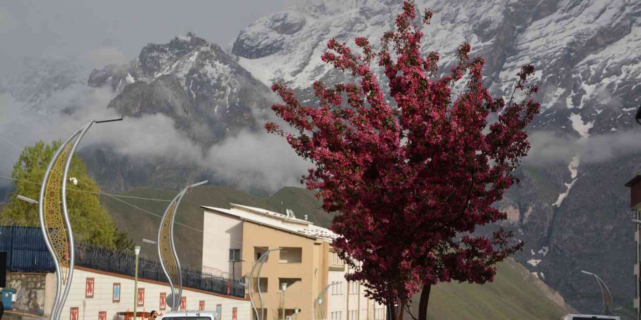 Hakkari Sümbül Dağı Beyaza Büründü, Renkli Görüntüler Ortaya Çıktı