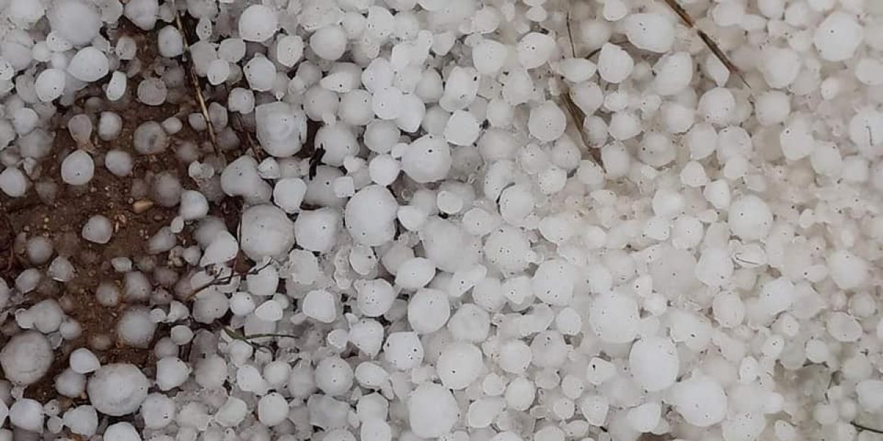 Malatya’da Şiddetli Dolu Yağışı Kayısı Bahçelerine Büyük Zarar Verdi