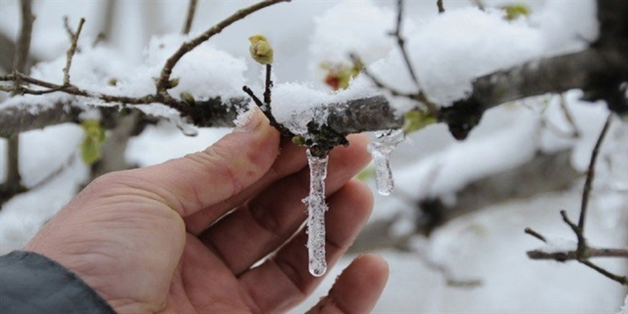 Meteorolojiden Bazı İller İçin Zirai Don Uyarısı