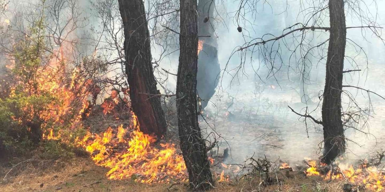 Denizliler Üst Üste 2 Ayrı Orman Yangınıyla Sarsıldı