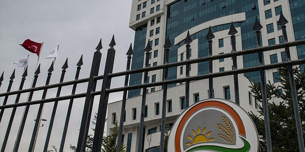Şeker İthalatı İçin Tarife Kontenjanı Çalışması Başlatıldı