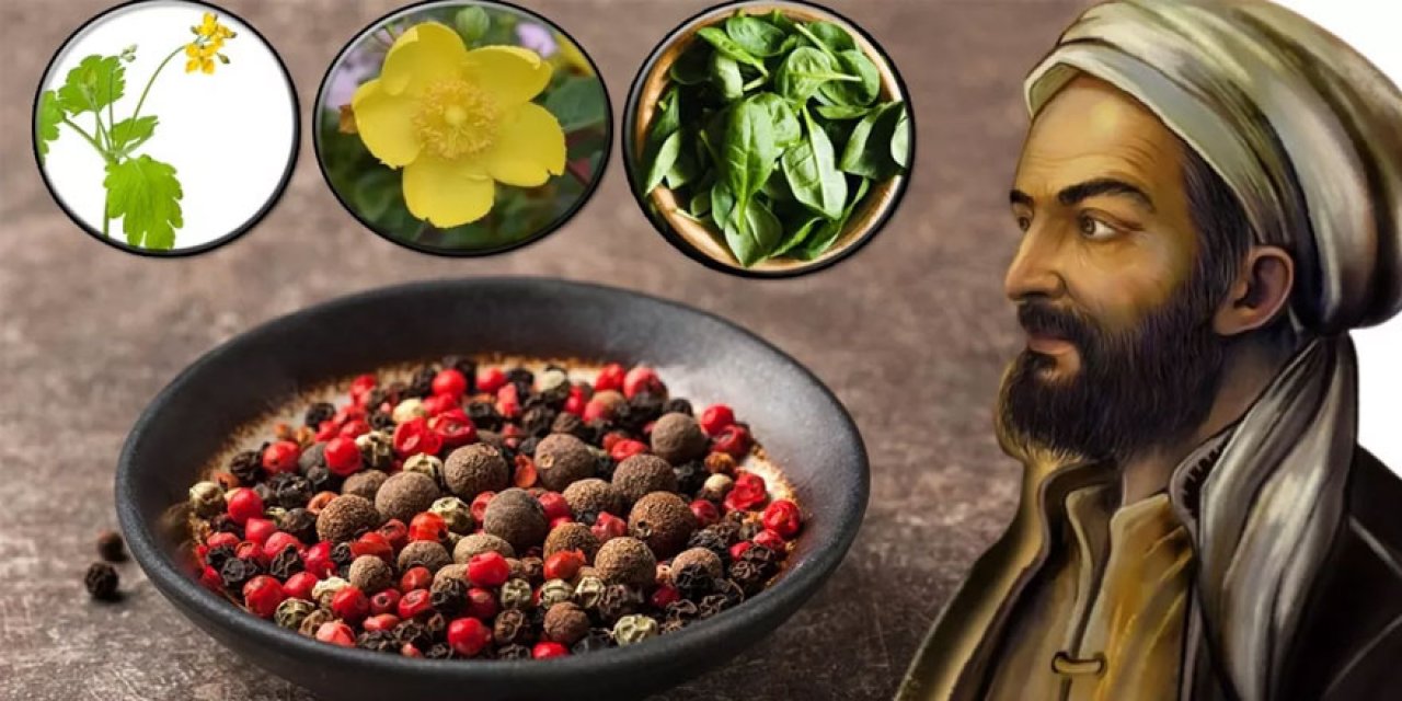 İbn-i Sina'nın önerisi vücudu tertemiz yapan vücuttan mikropları söküp atan 10 süper bitki