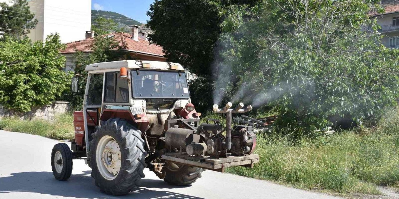 İskilip’te Vektörel Mücadeleye Hız Verildi