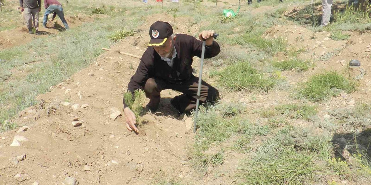 Emekli Öğretmenden Örnek Davranış