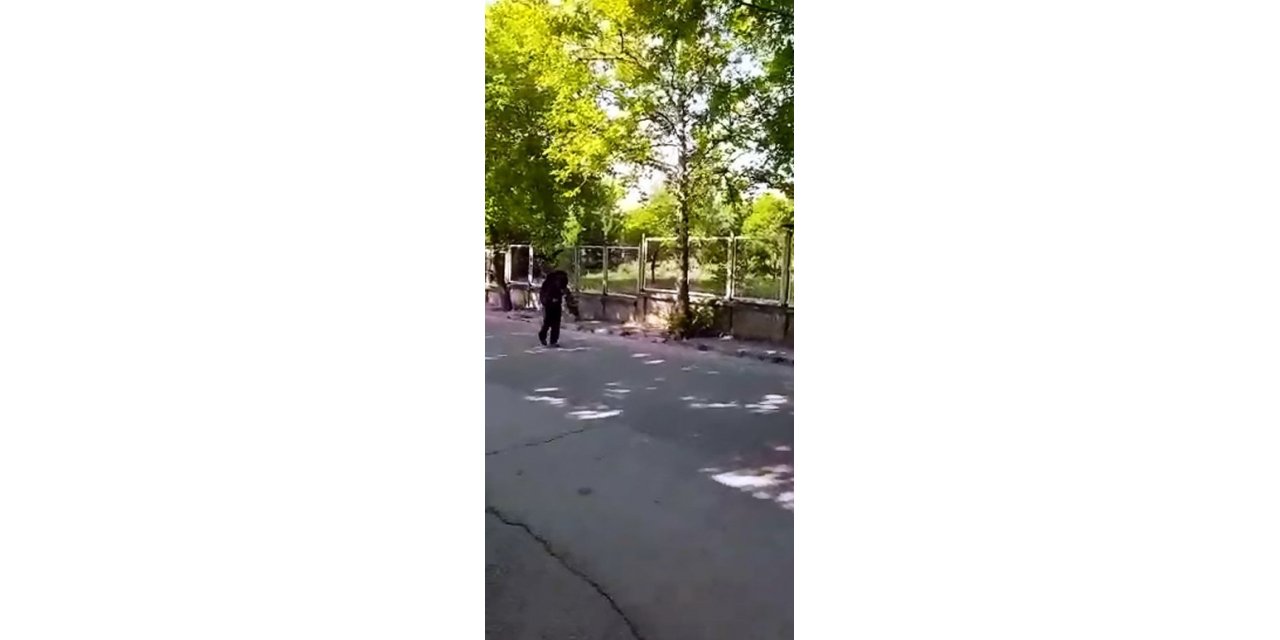 Yavrularını Korumak İsteyen Kargalar Vatandaşa Zor Anlar Yaşattı