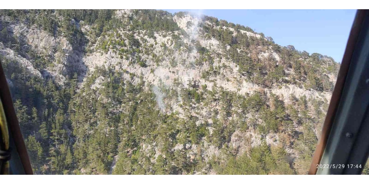 Alanya’da Orman Yangını