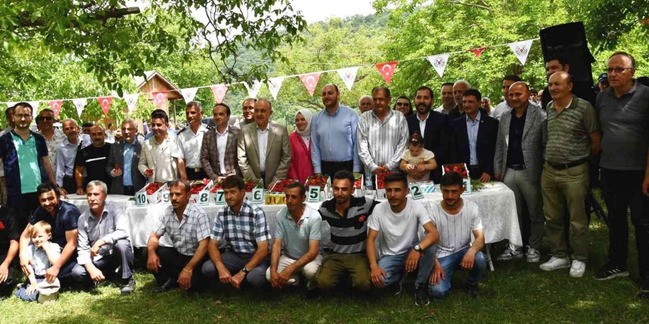 Altınova’da Çilek Tadında Festival