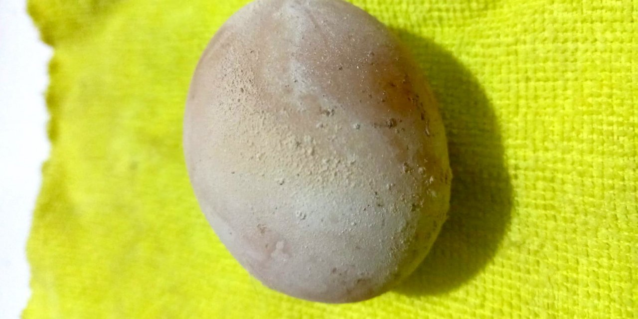 Yumurta İçinde Yumurta Çıktı