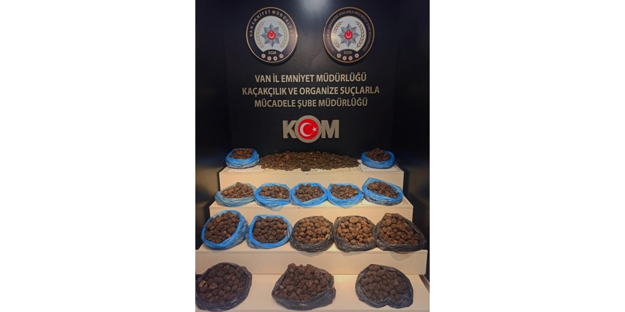 Van’da 97,5 Kilogram Kaçak Trüf Mantarı Ele Geçirildi
