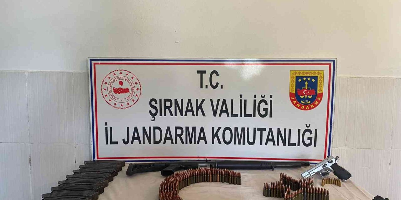 Şırnak’ta Kaçakçılık Ve Asayiş Operasyonu: 49 Gözaltı