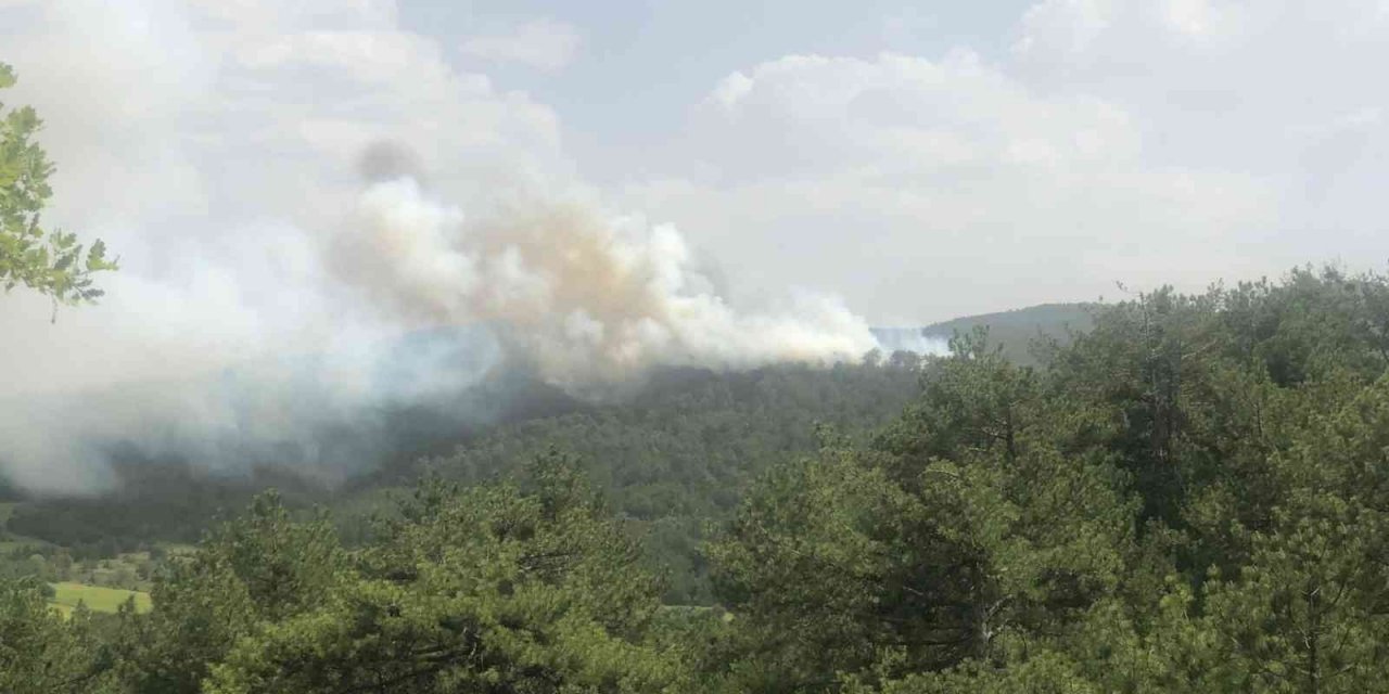 Bolu’da Orman Yangını