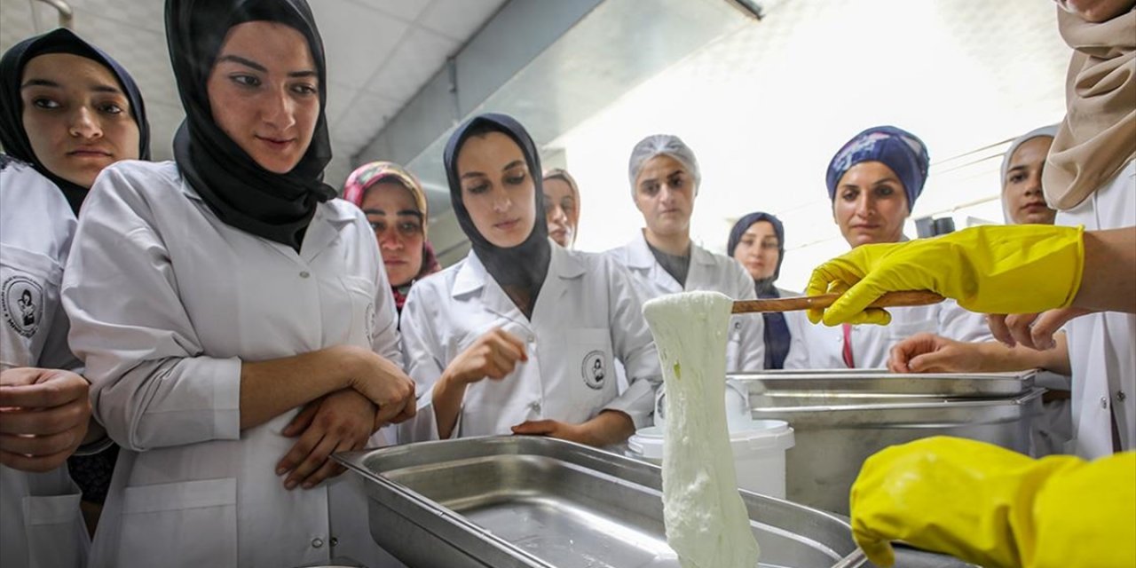 Diyarbakırlı Kadınlar Dünyaca Ünlü İtalyan Peyniri Mozzarella Üretecek