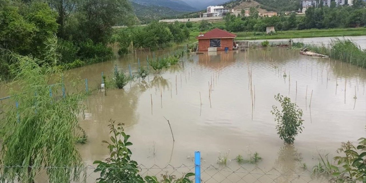 Sinop'ta Sel Nedeniyle Tarım Arazileri Zarar Gören Çiftçilere Müjde