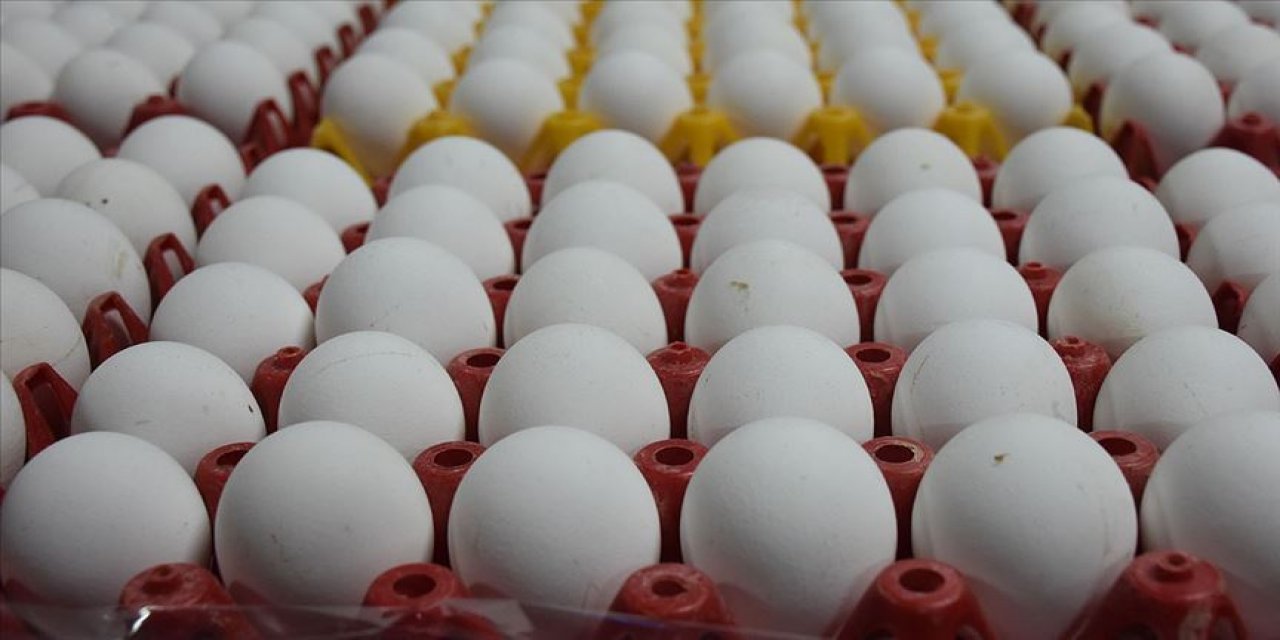 Yumurta haşladığınız suya mutlaka limon sıkın , nedenini öğrenen herkes yapıyor