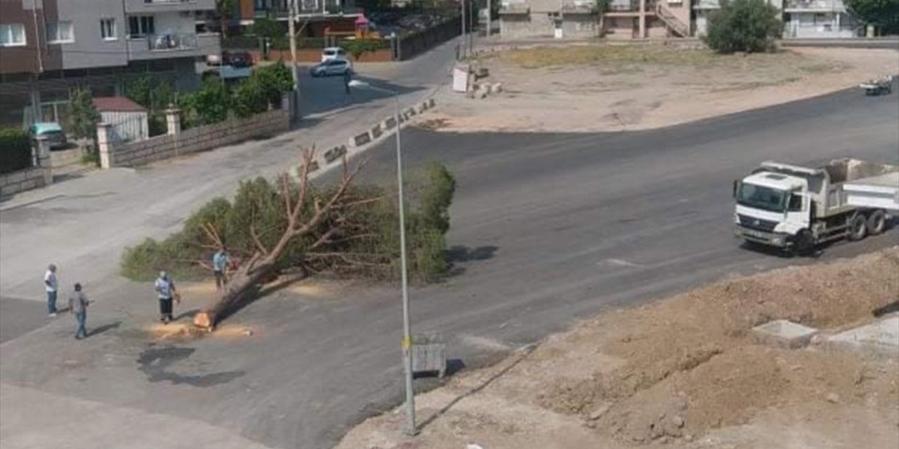 İzmir'de Yol Yapımı İçin Ağaç Kesilmesine Tepki