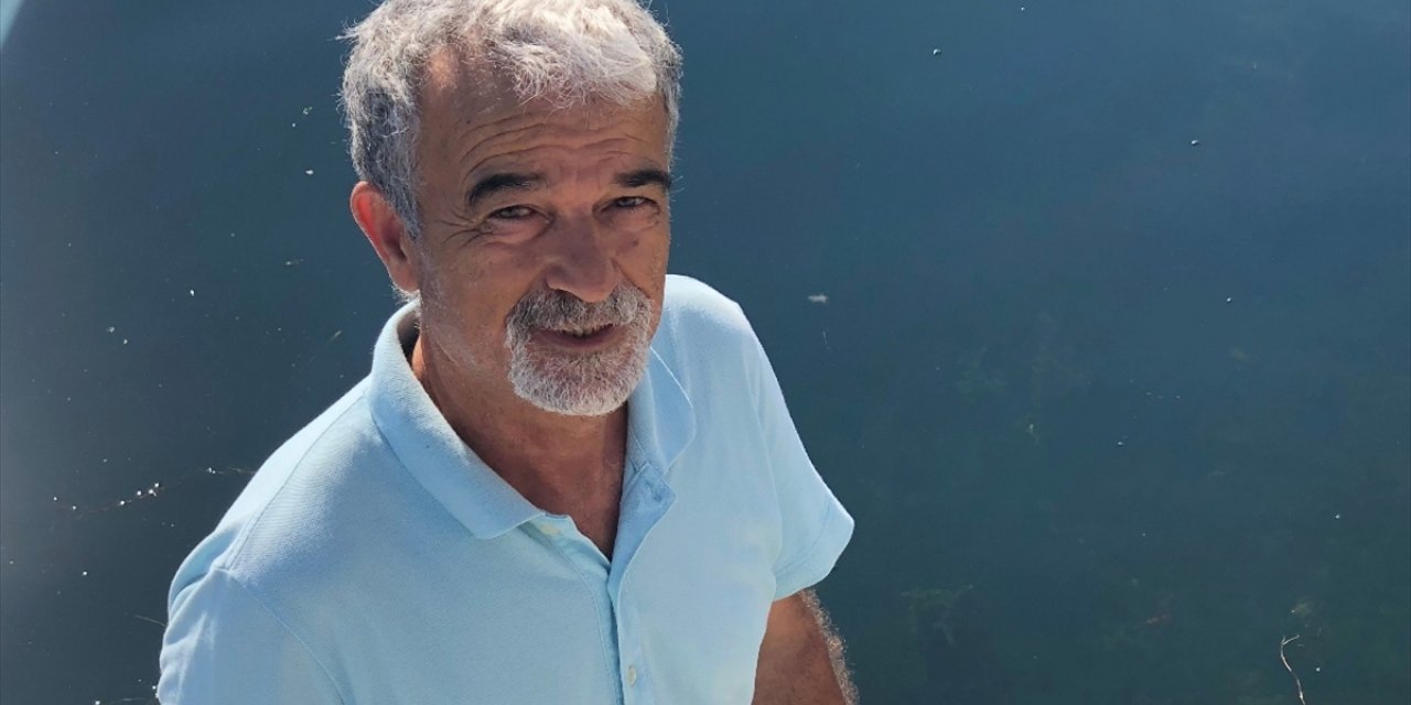 Türkiye Tabiatını Koruma Derneği Bilim Danışmanı Kesici'den İzmir'de Yarım Asırlık Ağacın Kesilmesine Tepki