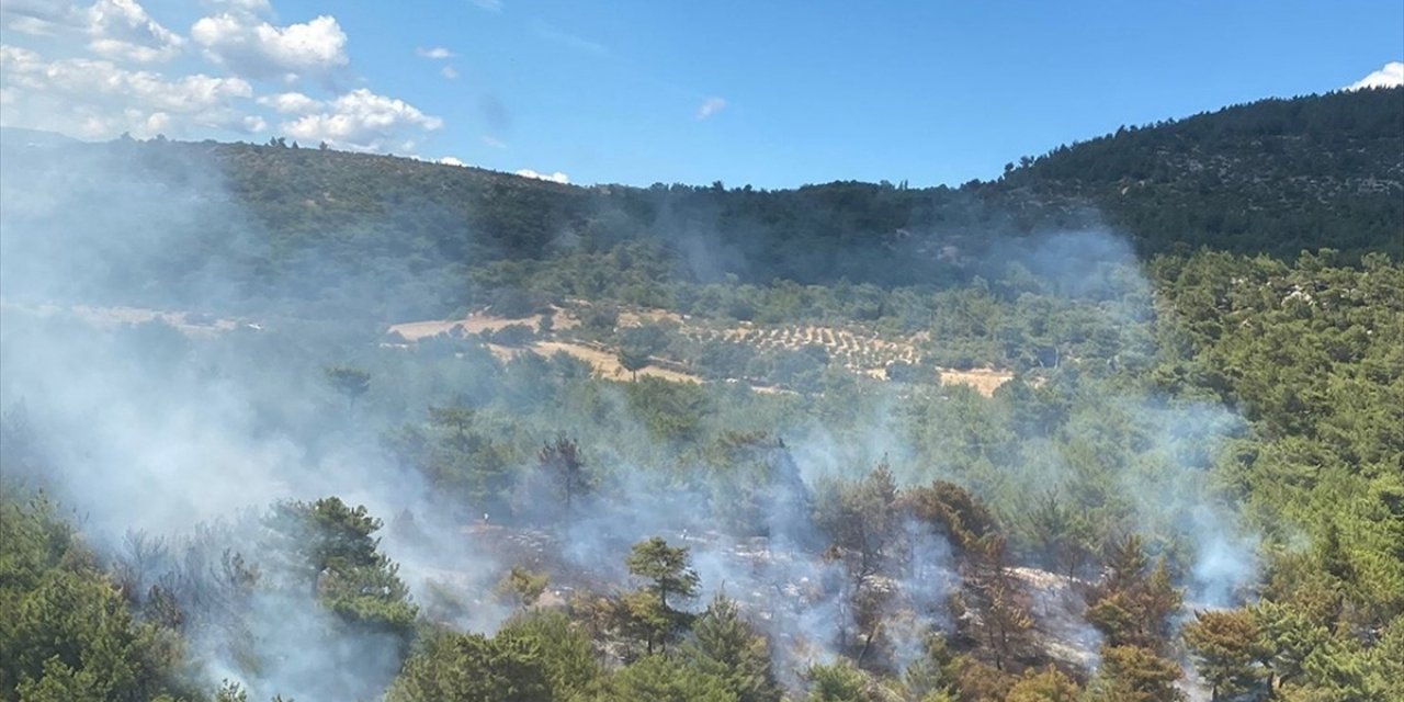 İzmir Bergama'da Çıkan Orman Yangını Kontrol Altına Alındı